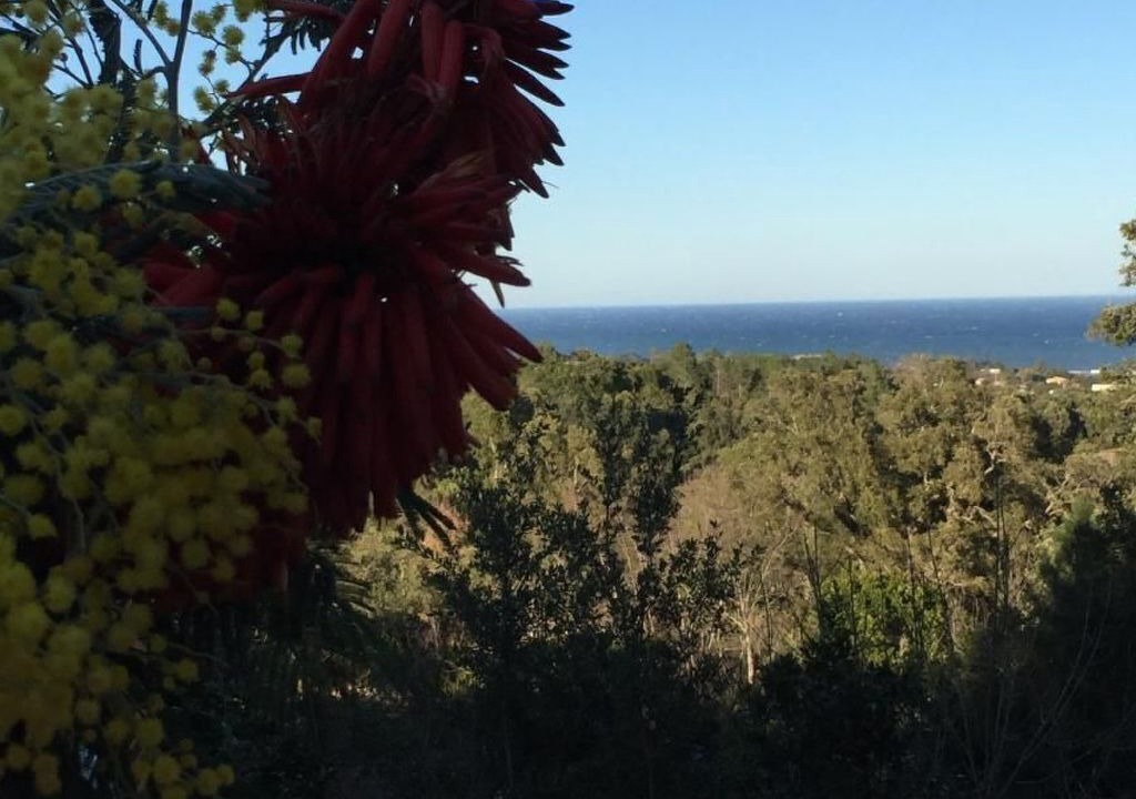 Photo of Others in Cervione