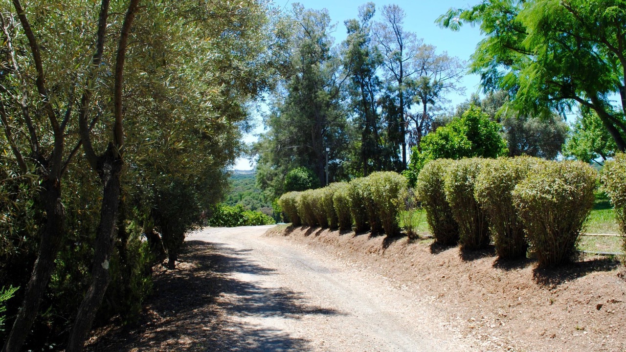 Photo of Others in Cervione