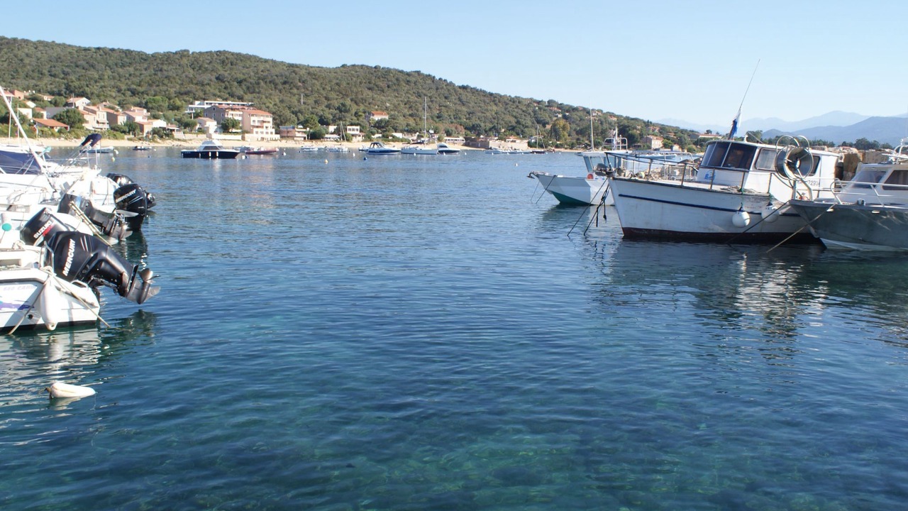 Photo of Others in Porto Pollo