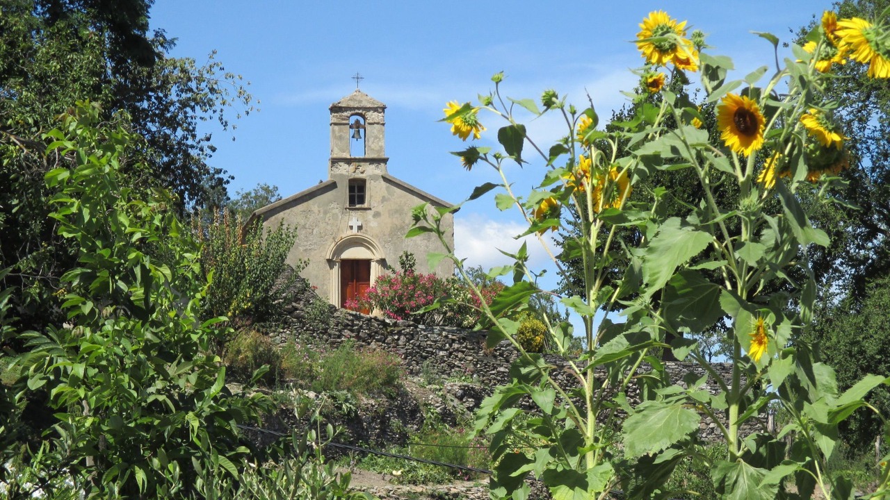 Photo of Others in San-Giovanni-di-Moriani