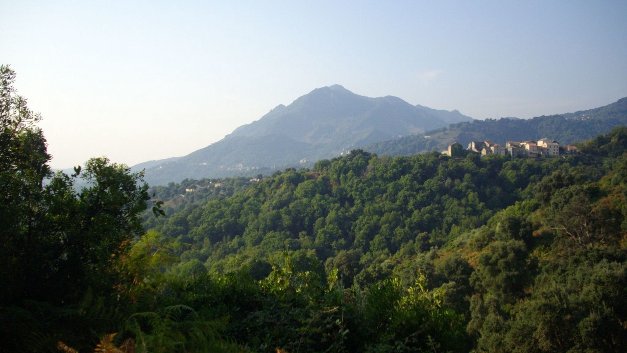 Photo of Others in San-Giovanni-di-Moriani