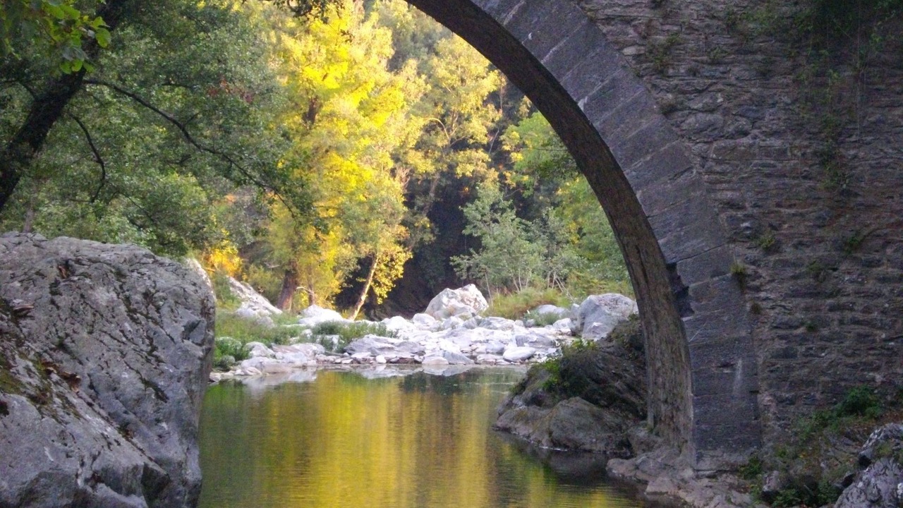 Photo of Others in San-Giovanni-di-Moriani