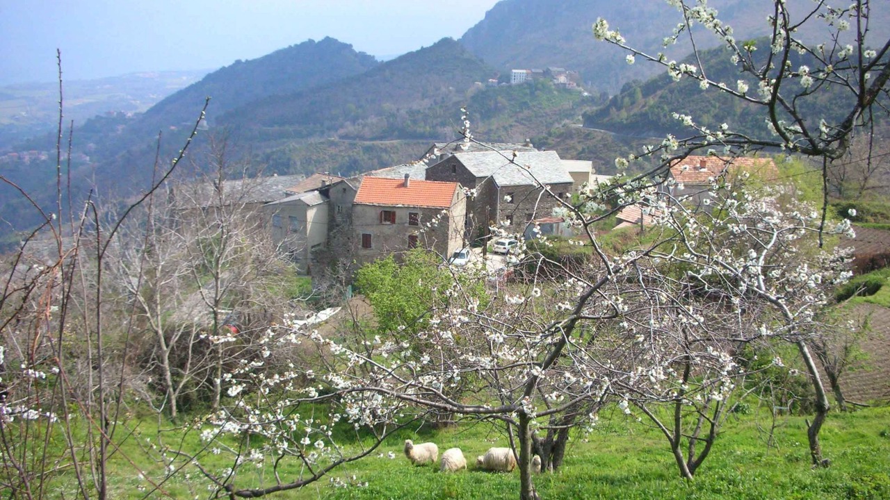 Photo of Others in San-Giovanni-di-Moriani
