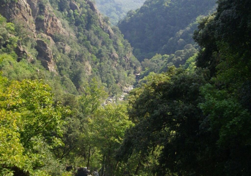 Photo of Others in San-Giovanni-di-Moriani