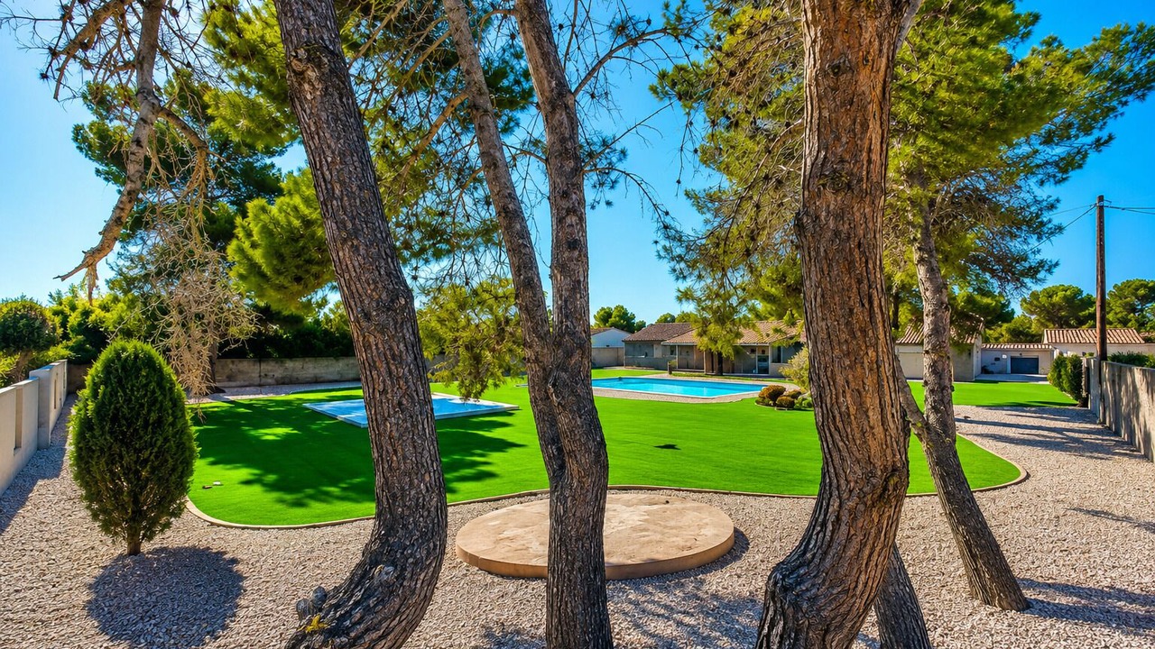 Photo of Outdoor in Paradise