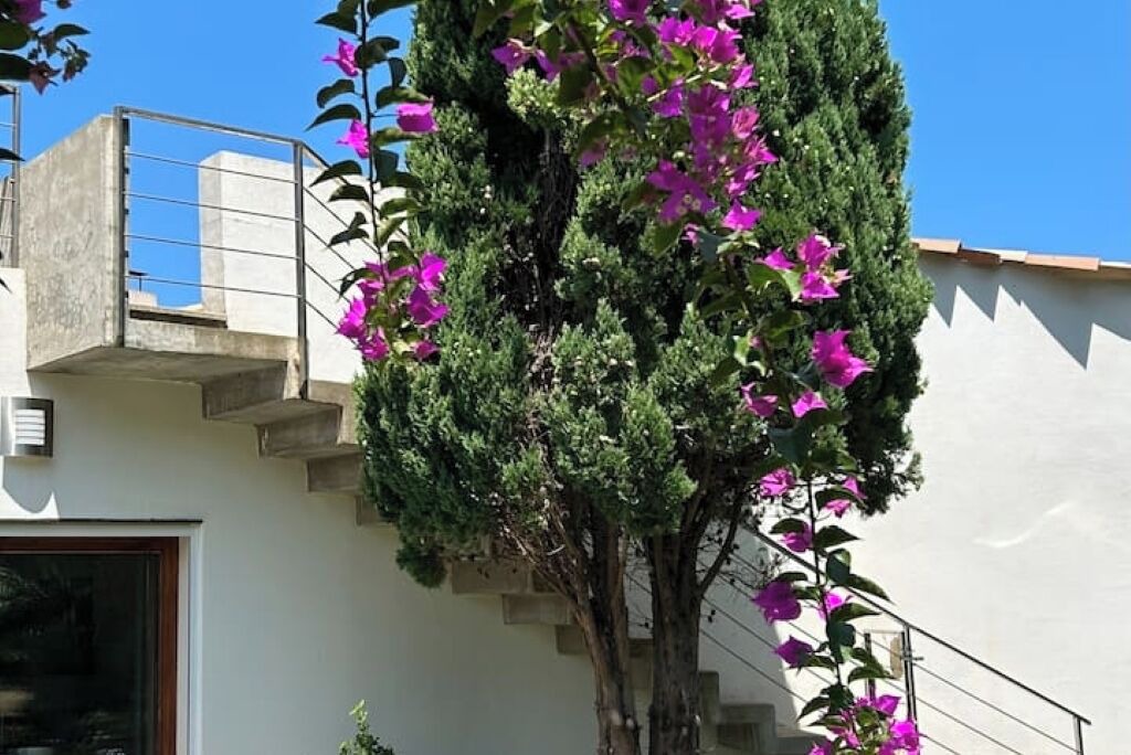 Photo of Outdoor in Marine de Davia