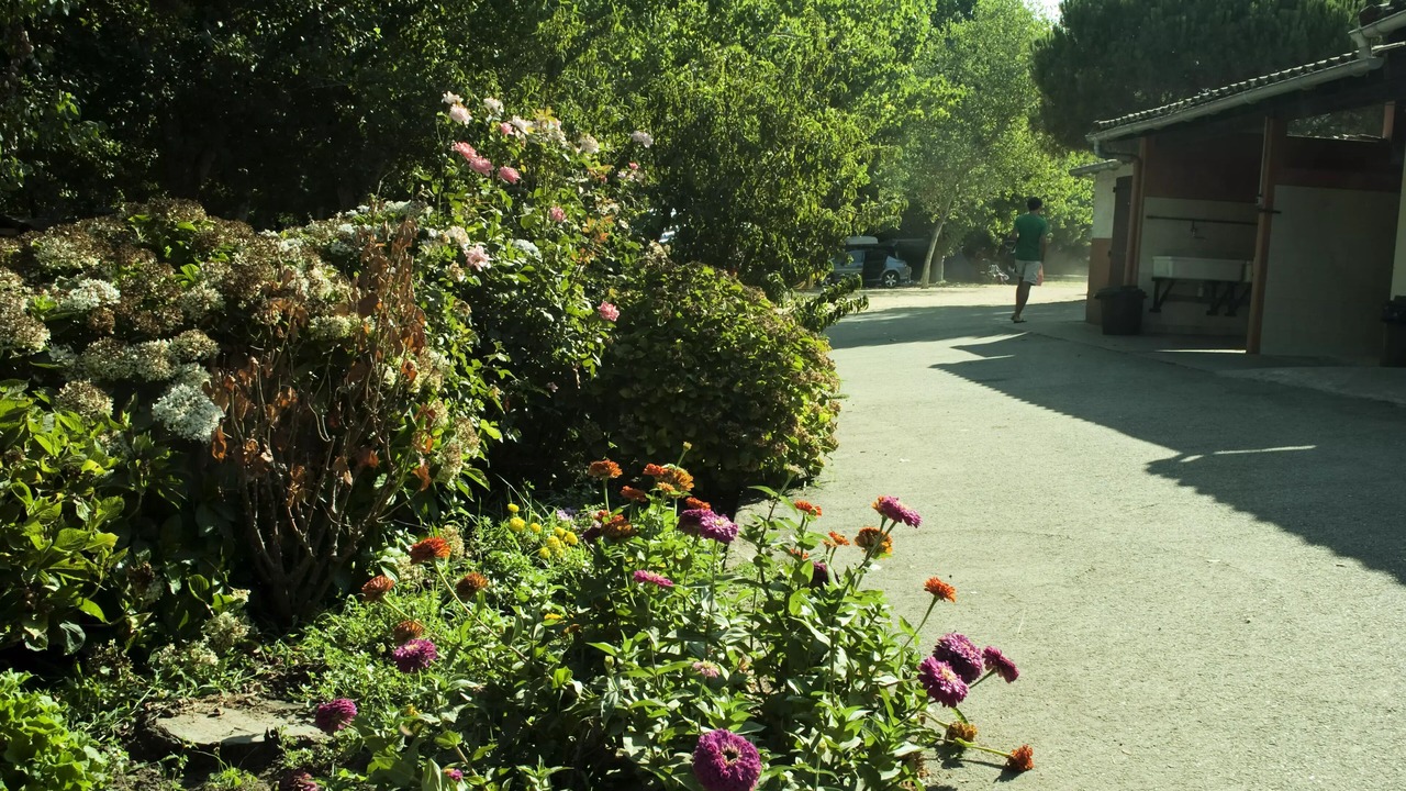 Photo of Outdoor in Calcatoggio