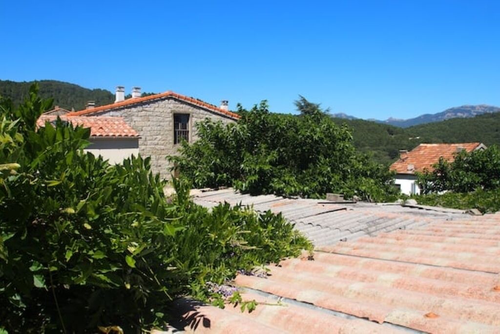 Photo of Outdoor in Levie
