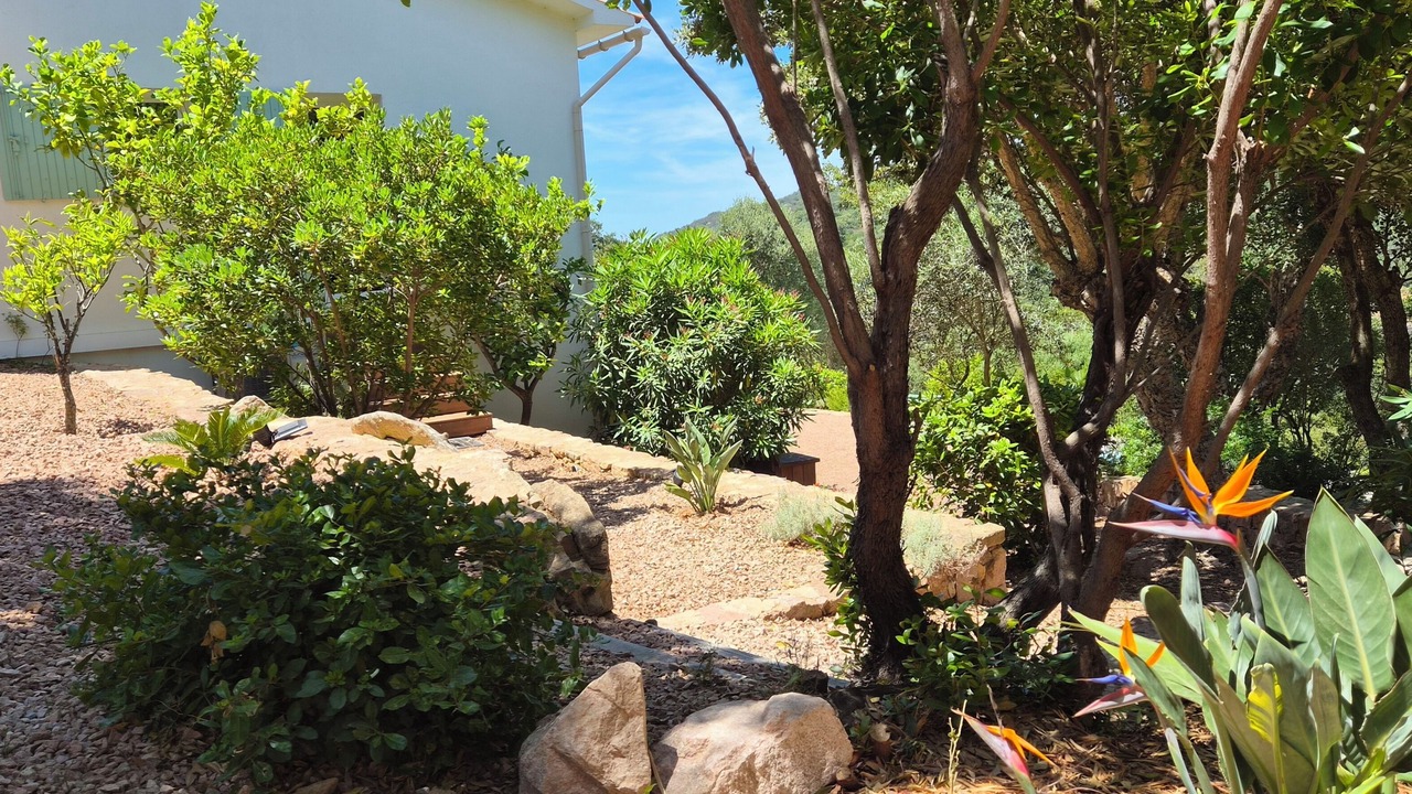 Photo of Outdoor in Figari