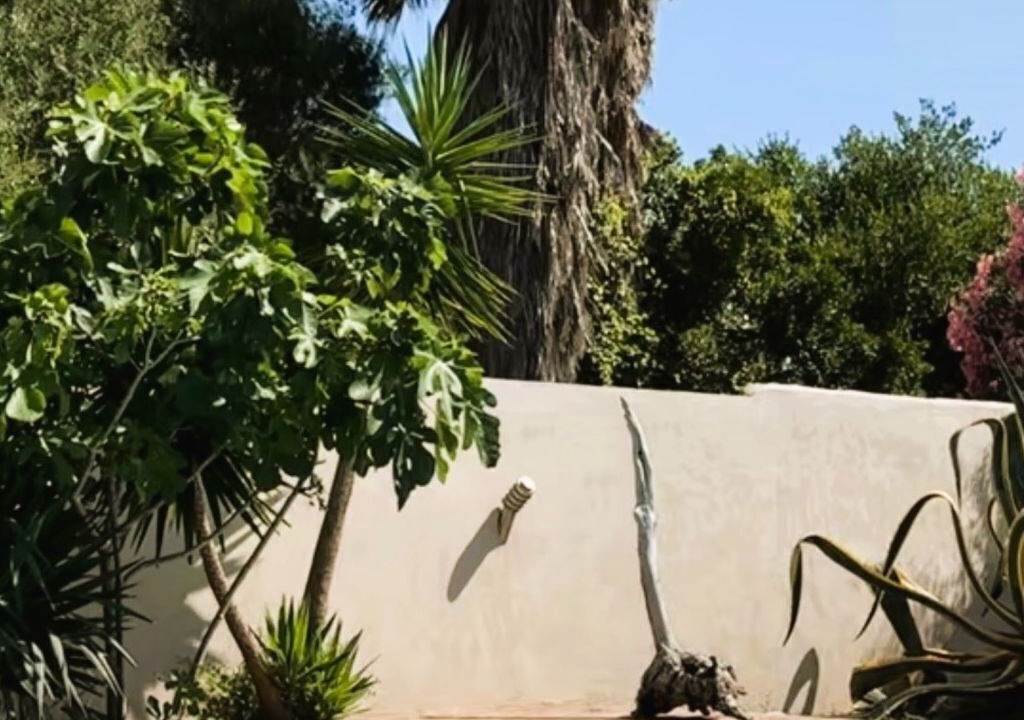 Photo of Outdoor in Figari