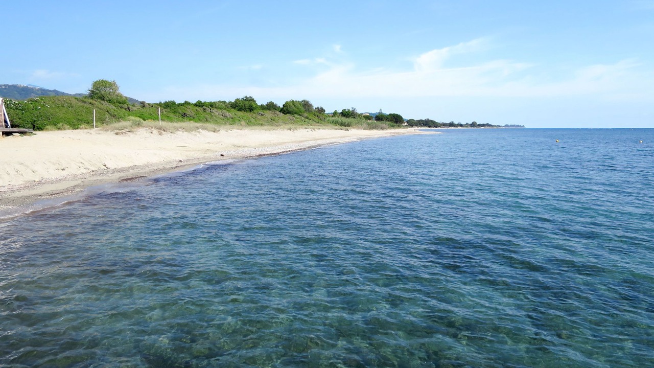 Photo of Others in Santa-Lucia-di-Moriani