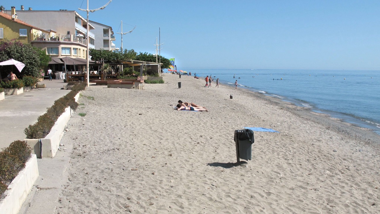Photo of Others in Santa-Lucia-di-Moriani