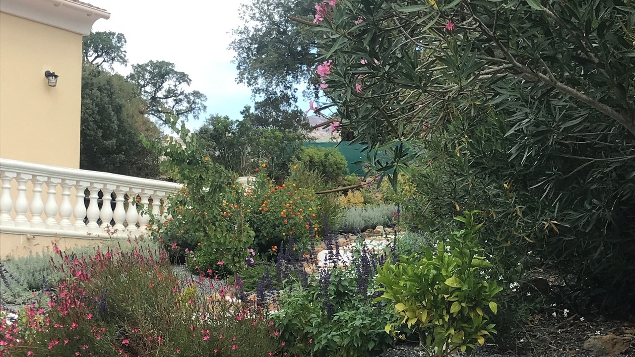 Photo of Outdoor in Oletta