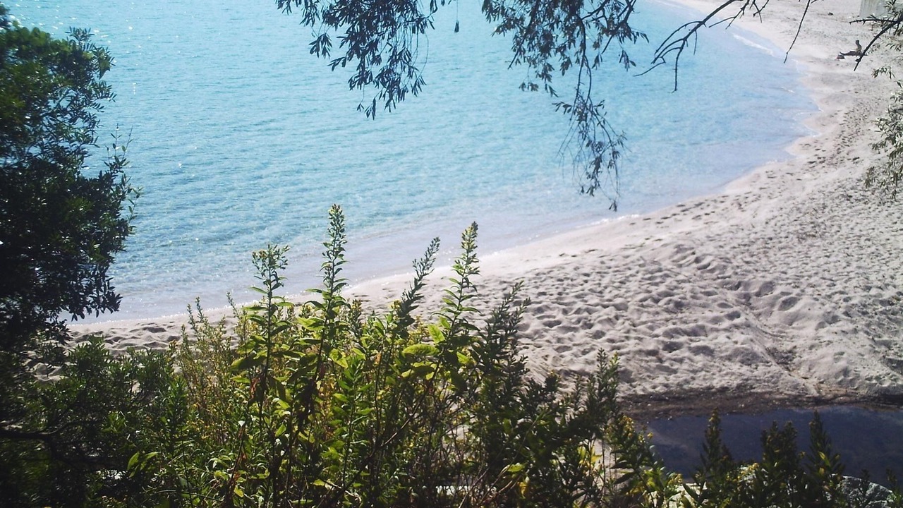 Photo of Others in Favone