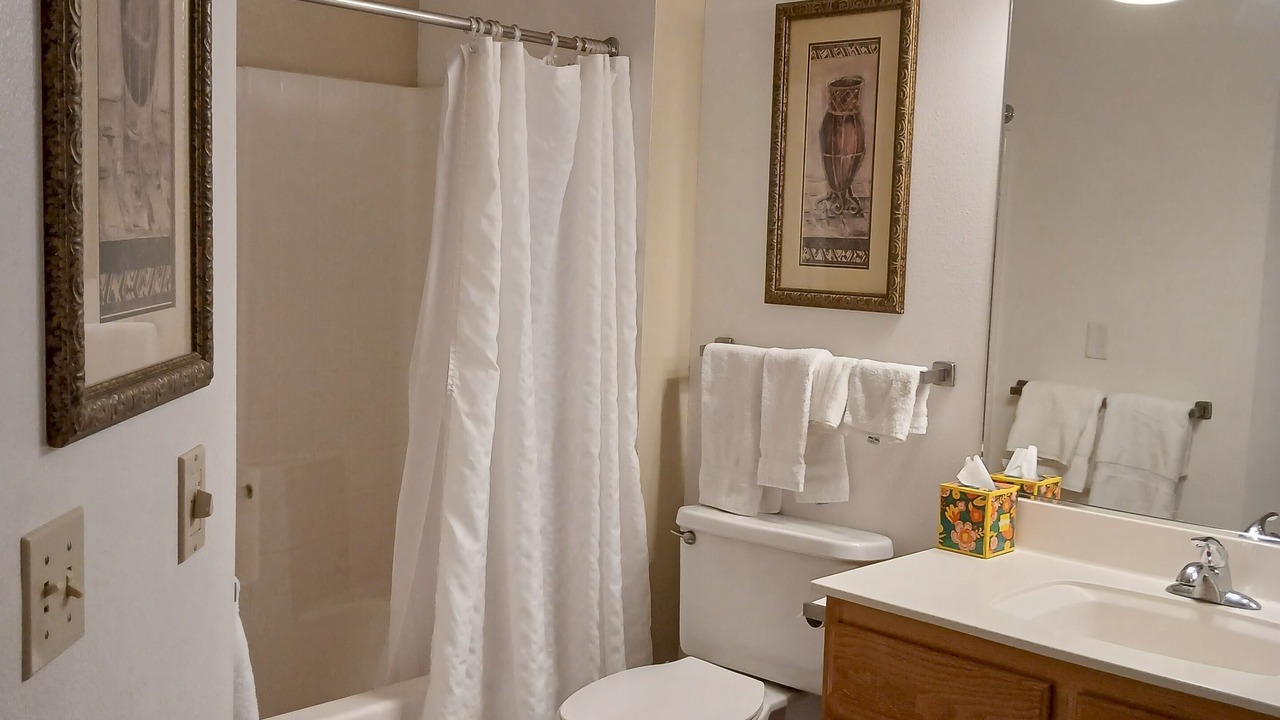 Photo of Bathroom in Mesquite