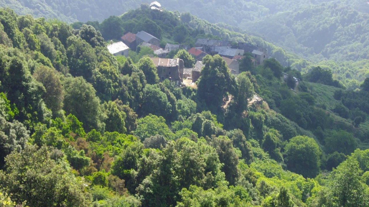 Photo of Others in San-Giovanni-di-Moriani