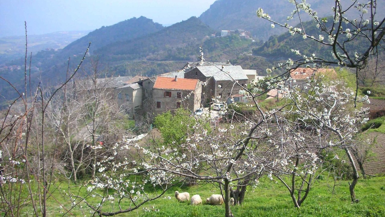 Photo of Others in San-Giovanni-di-Moriani