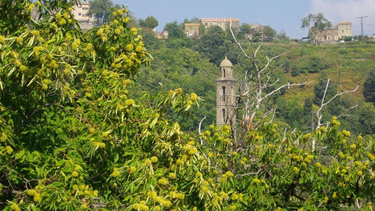 Photo of Others in San-Giovanni-di-Moriani
