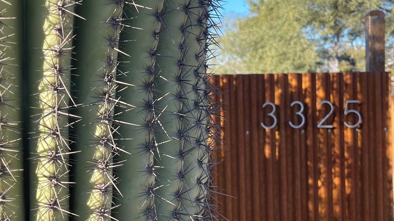 Photo of Others in Palo Verde