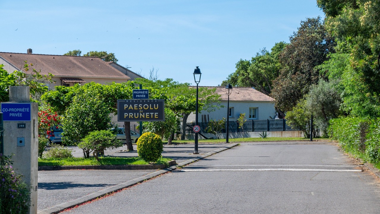 Photo of Others in Prunete