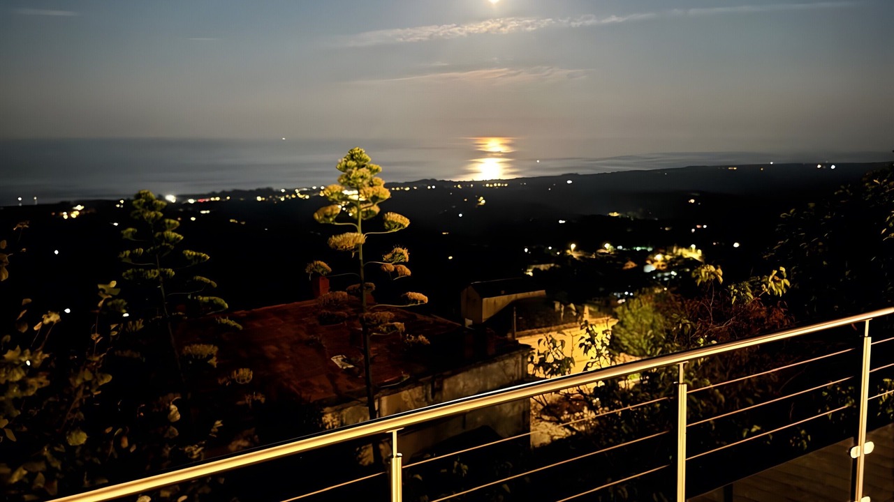 Photo of Outdoor in Cervione