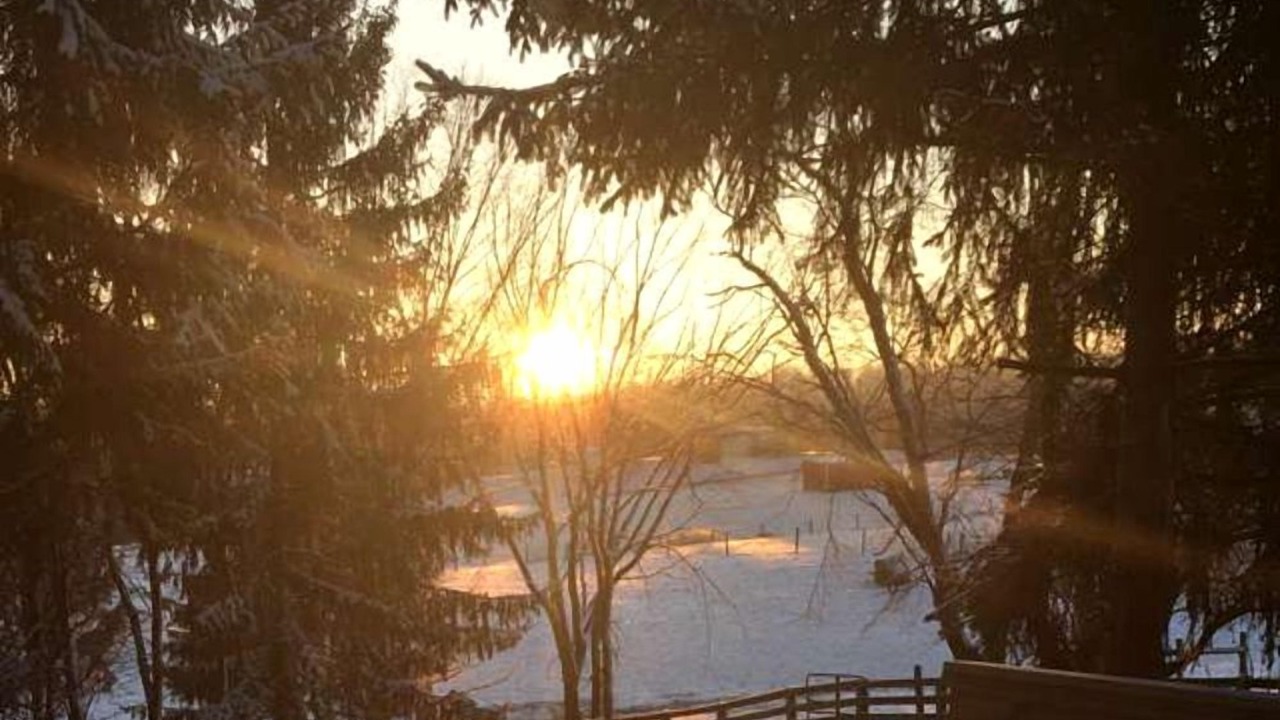 Photo of Others in Fredericktown