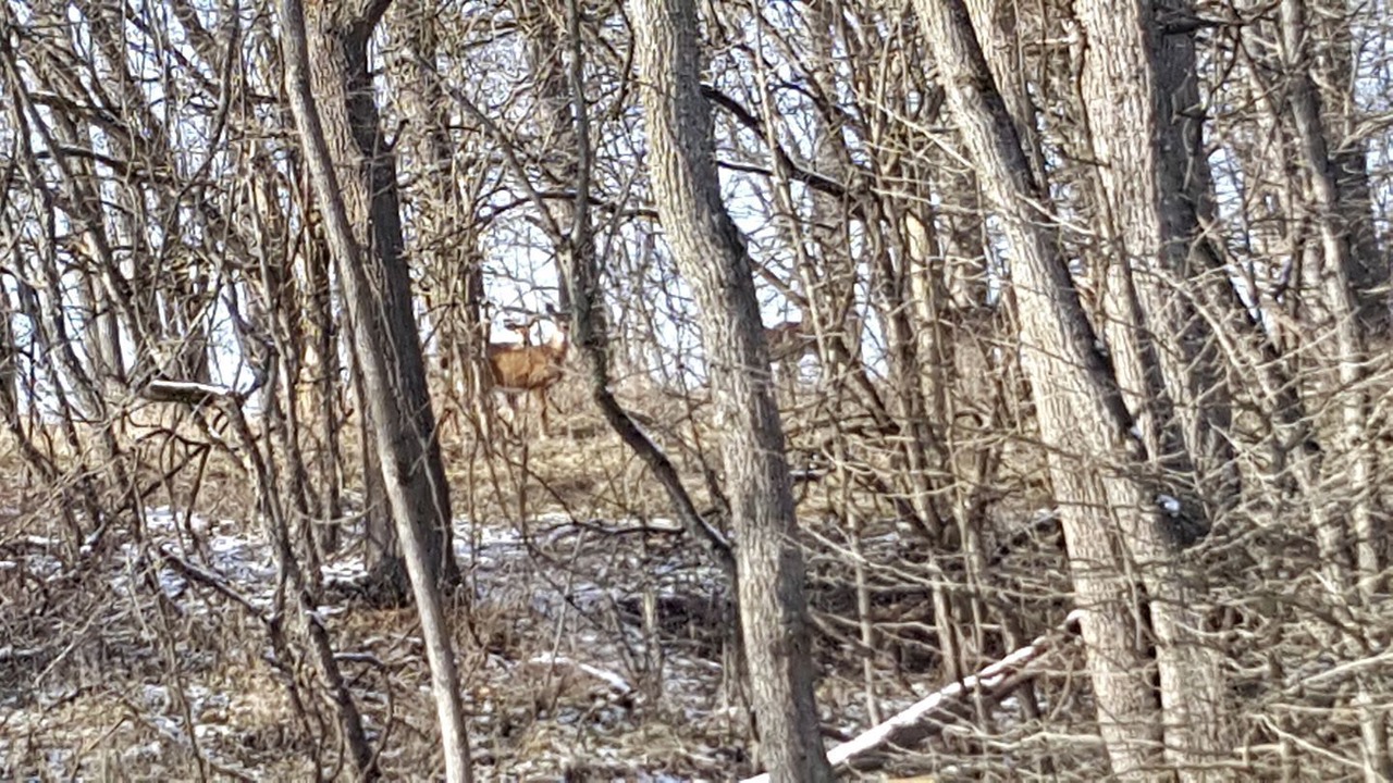 Photo of Others in Fredericktown