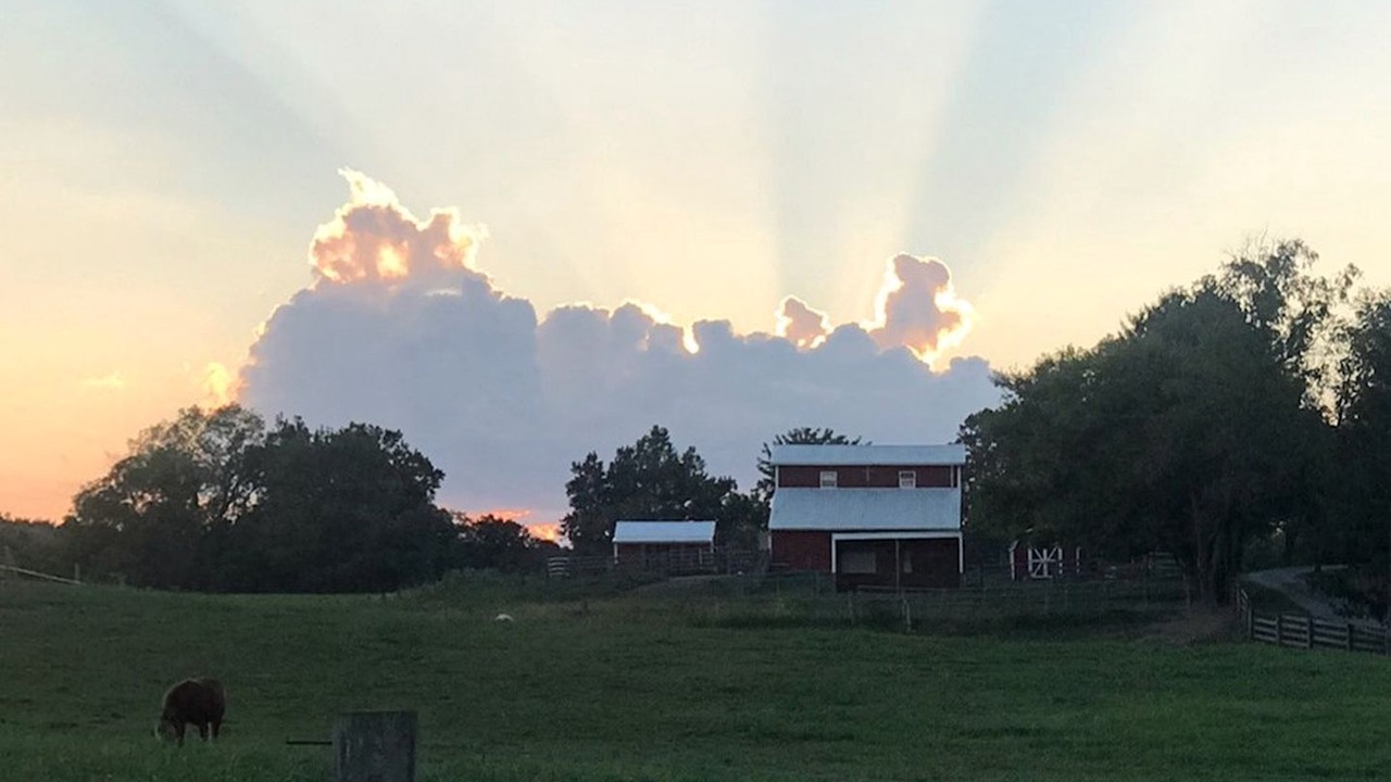 Photo of Others in Fredericktown