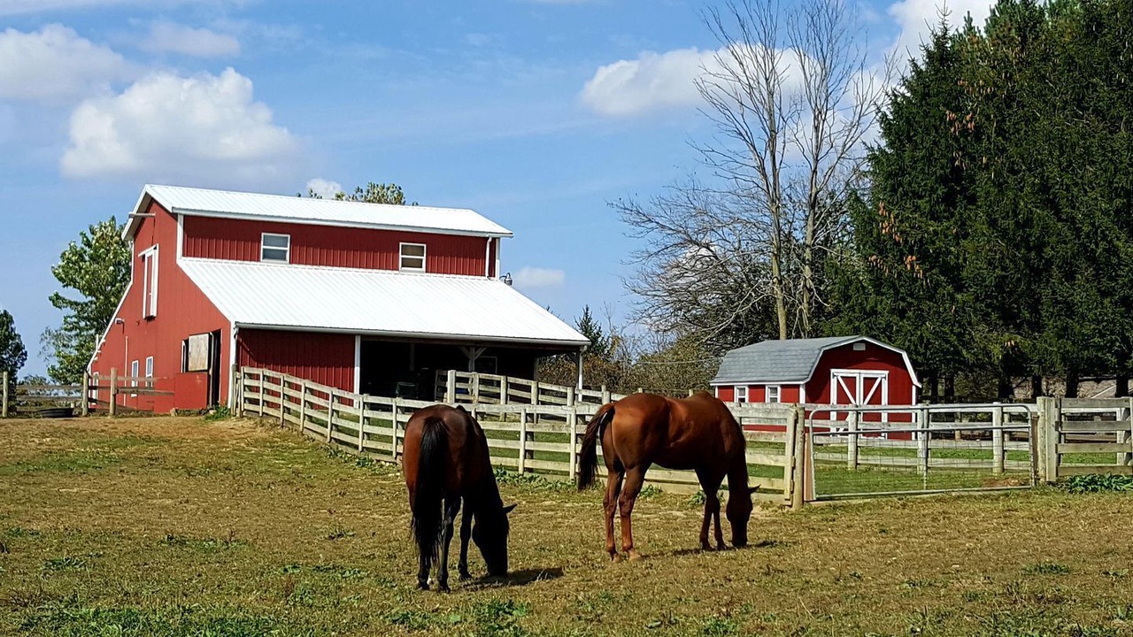 Photo of Others in Fredericktown