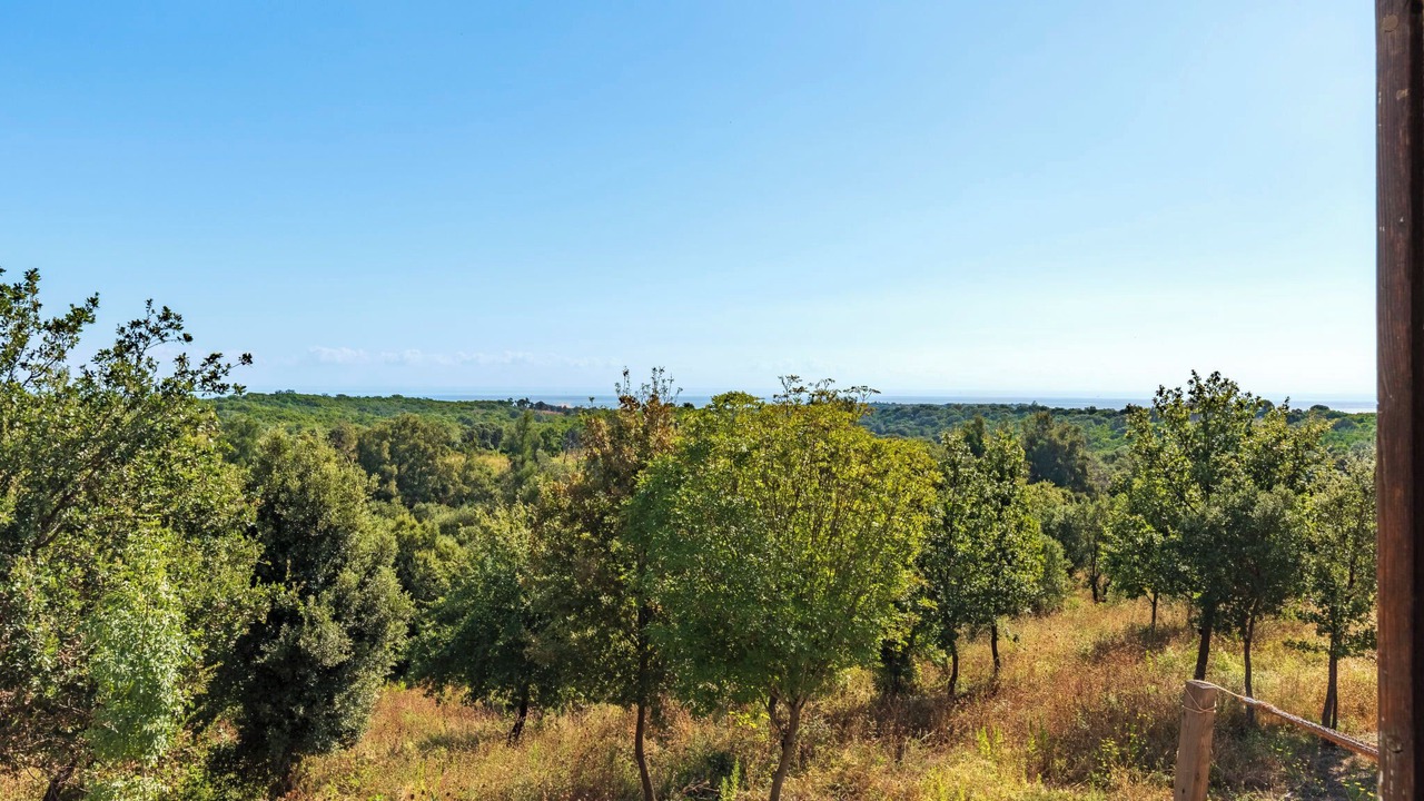 Photo of Others in San-Giuliano