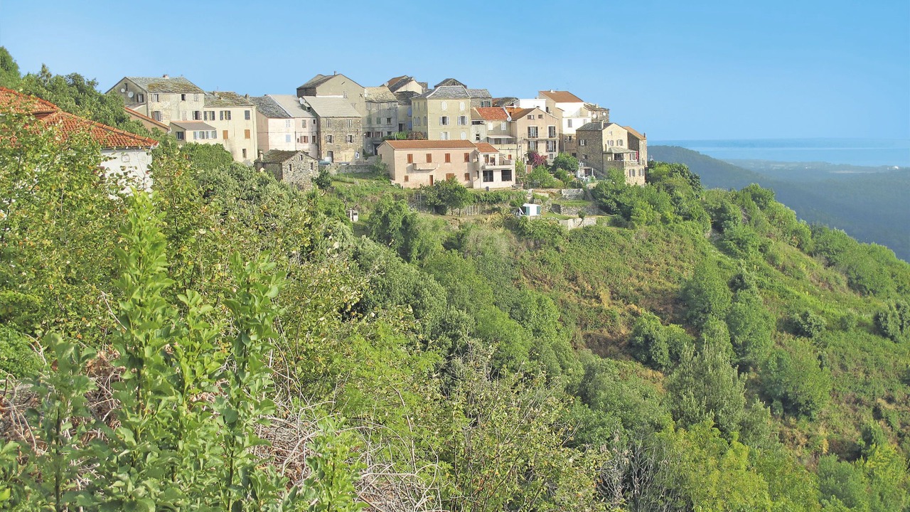 Photo of Outdoor in San-Giuliano