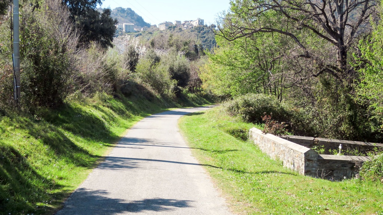 Photo of Outdoor in San-Giuliano