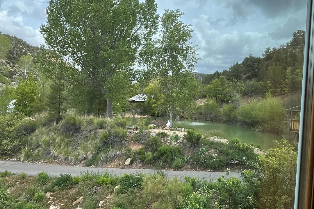 Photo of Others in Glendale