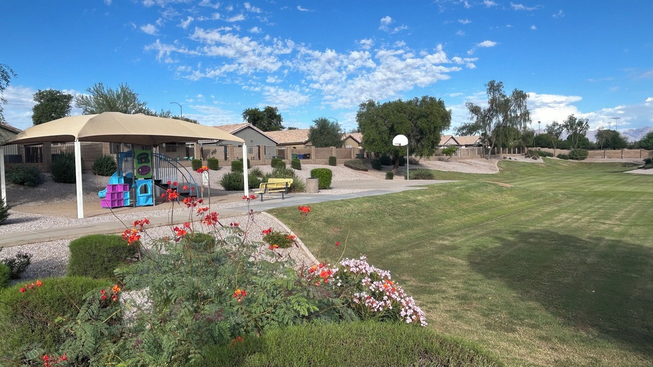 Photo of Outdoor in East Mesa