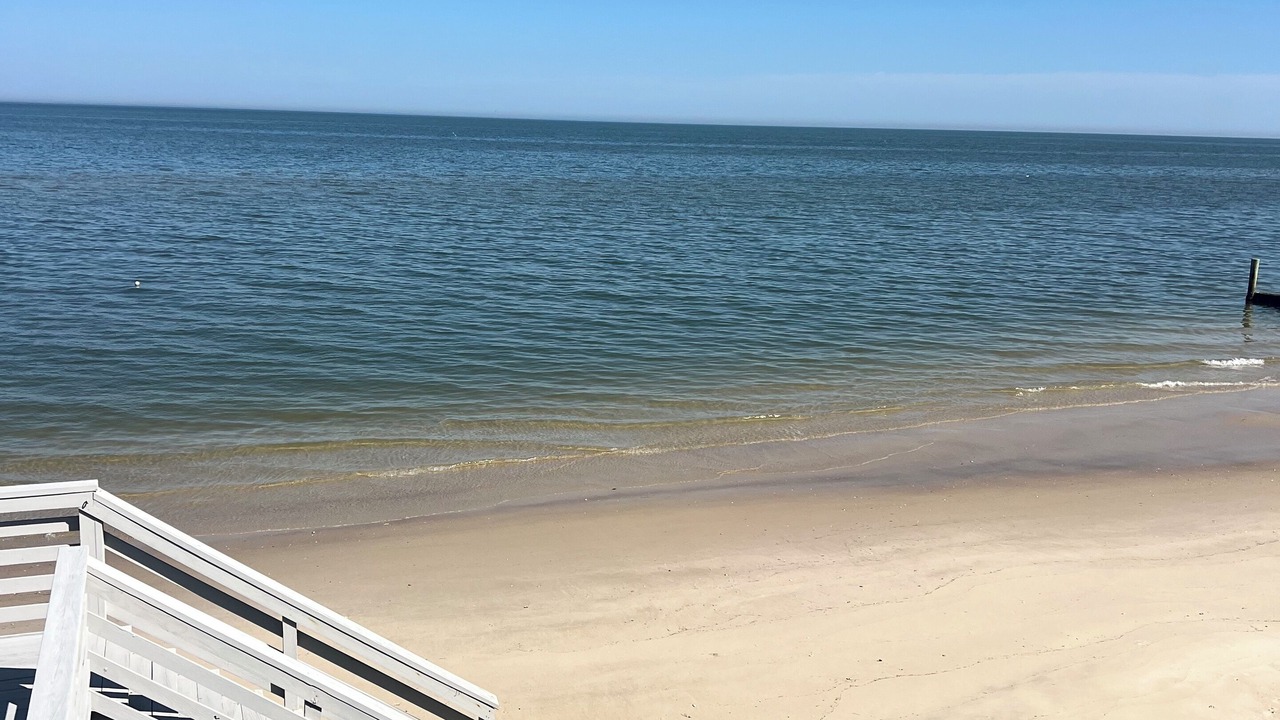 Photo of Others in New Point
