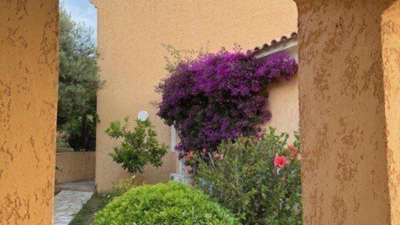 Photo of Outdoor in Marine de Saint Ambroggio