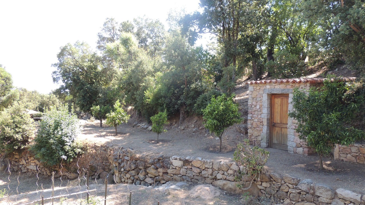 Photo of Outdoor in Conca
