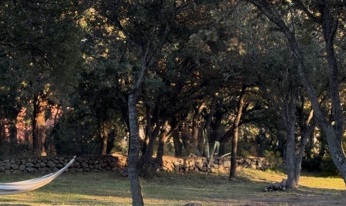 Photo of Others in Lozari