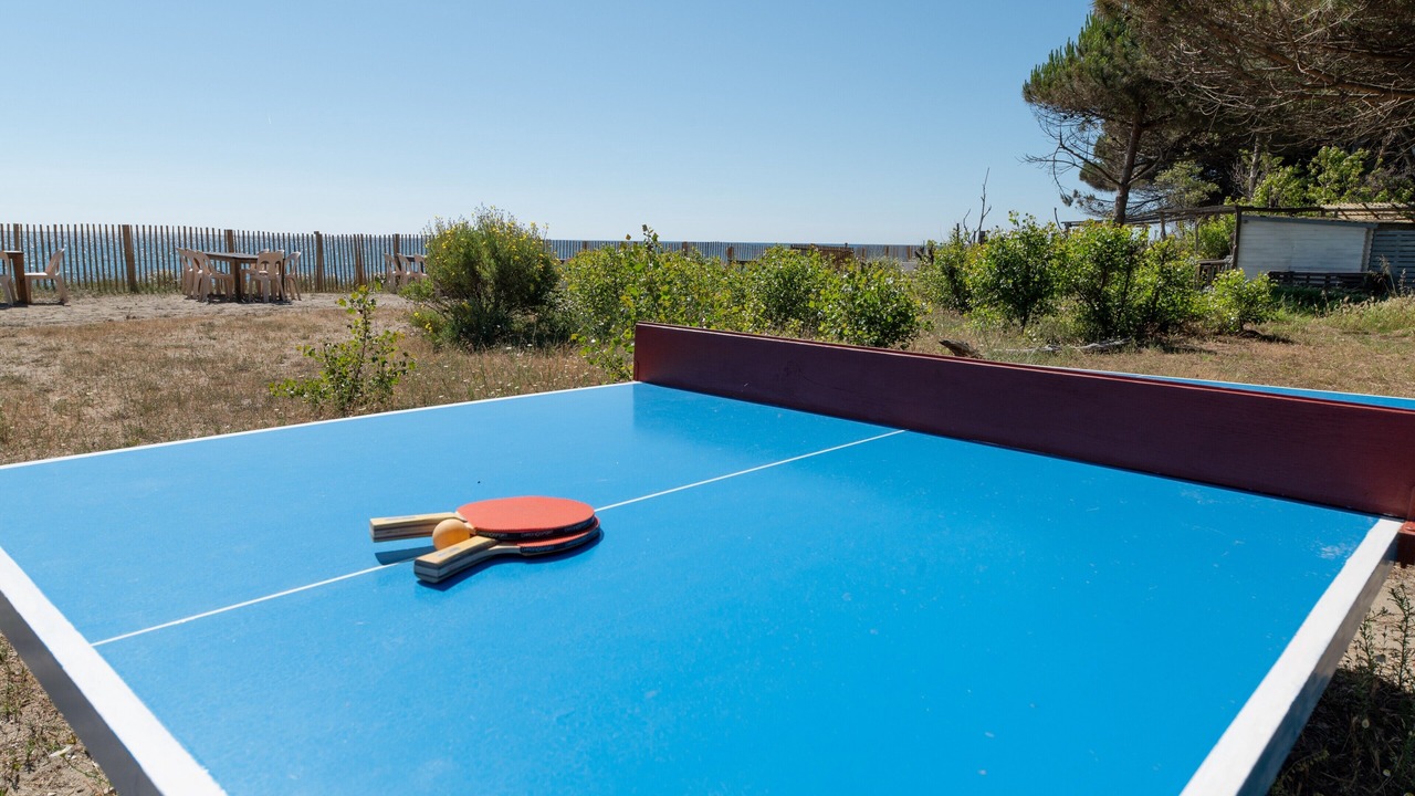 Photo of Outdoor in Talasani