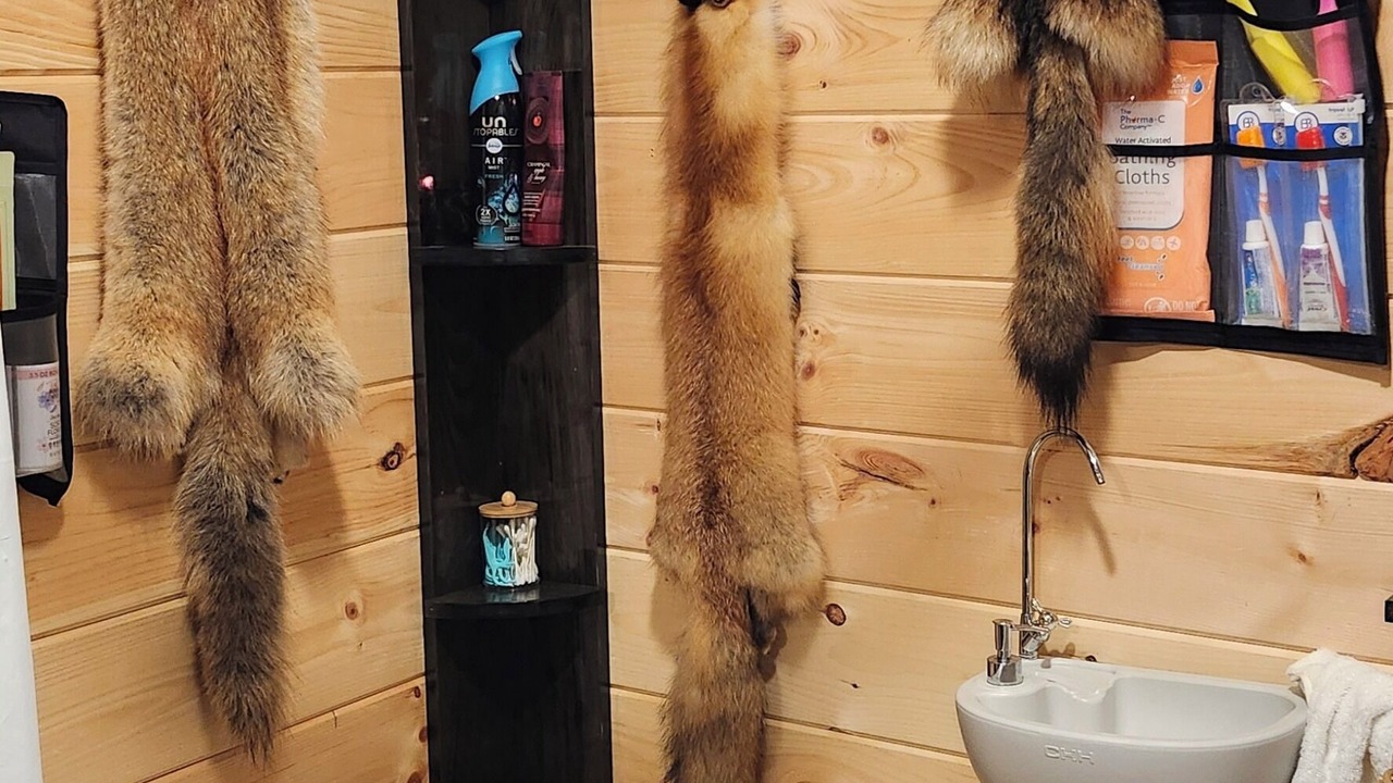 Photo of Bathroom in Long Bottom