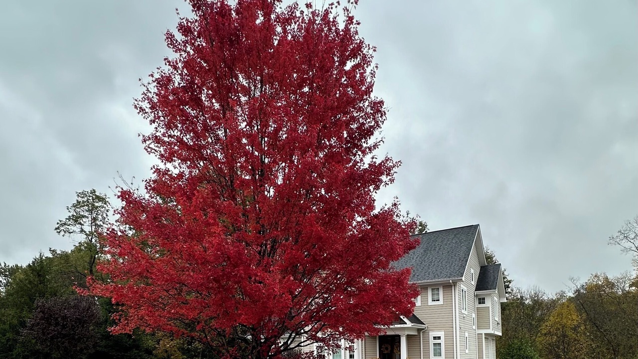 Photo of Outdoor in Latonia
