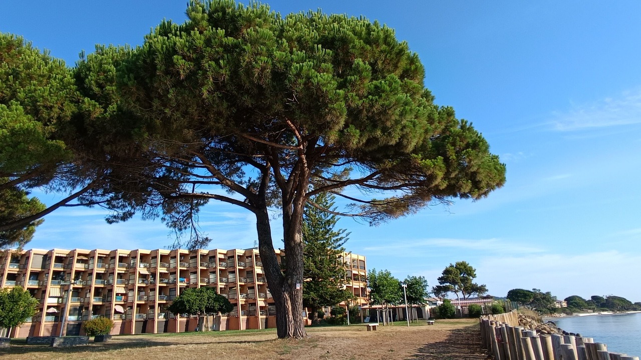 Photo of Outdoor in Santa-Lucia-di-Moriani