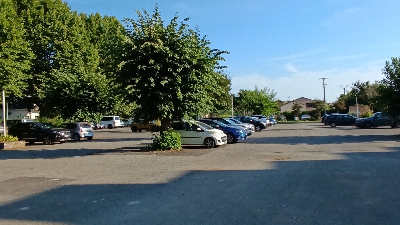 Photo of Outdoor in Santa-Lucia-di-Moriani