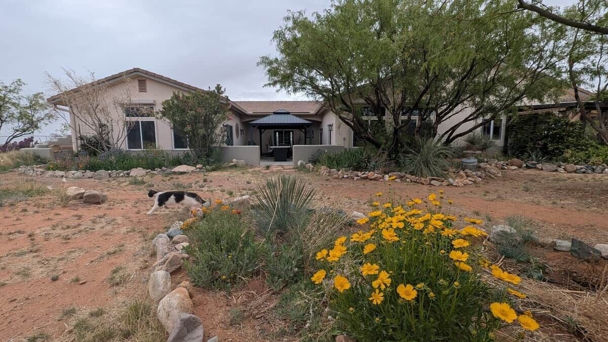 Photo of Outdoor in Cochise