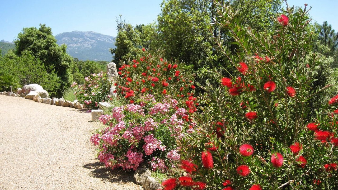 Photo of Outdoor in Levie