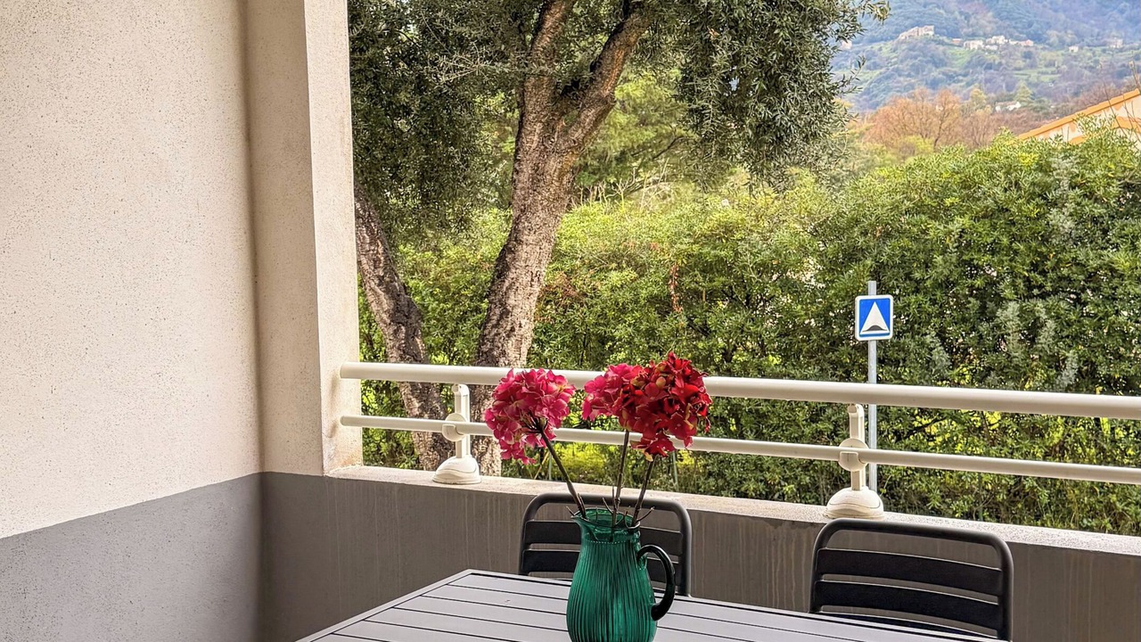Photo of Outdoor in San-Nicolao