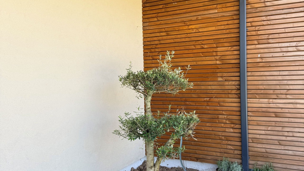 Photo of Outdoor in Ghisonaccia