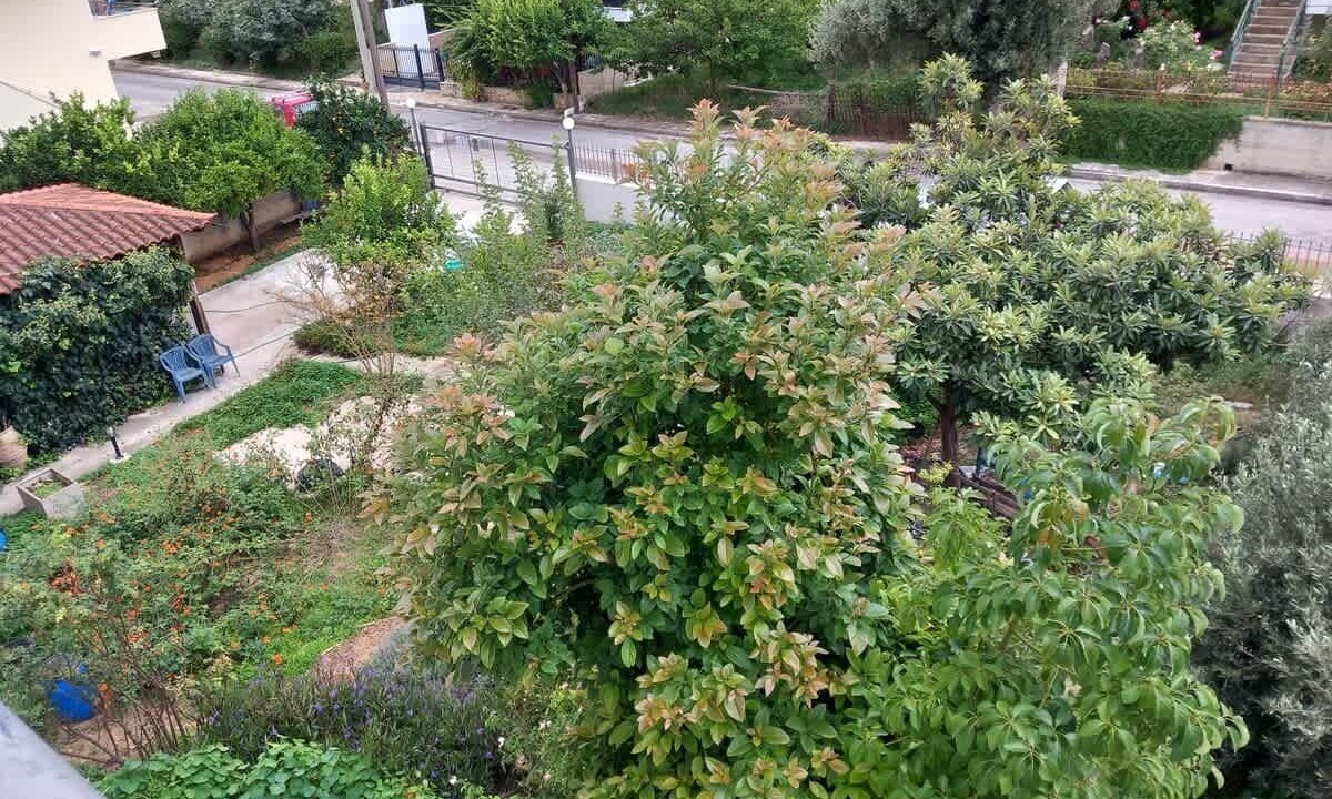Photo of Outdoor in Paiania