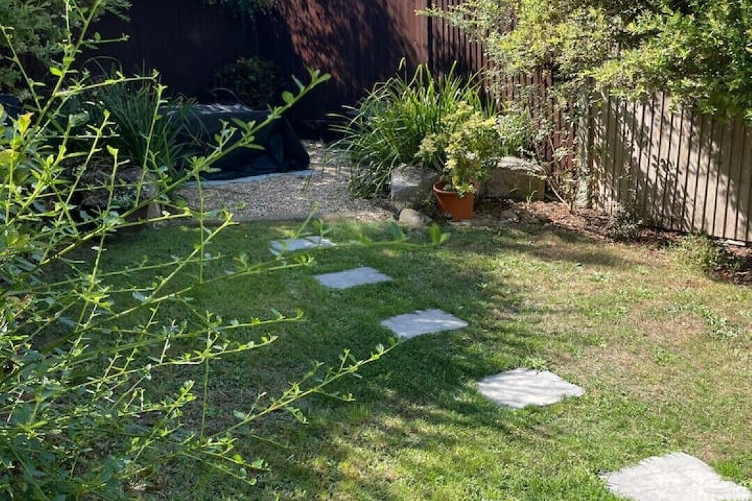 Photo of Outdoor in Netley