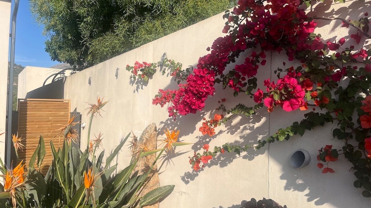 Photo of Outdoor in Calenzana